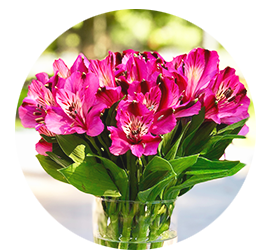 Same day Flowers South Harrow